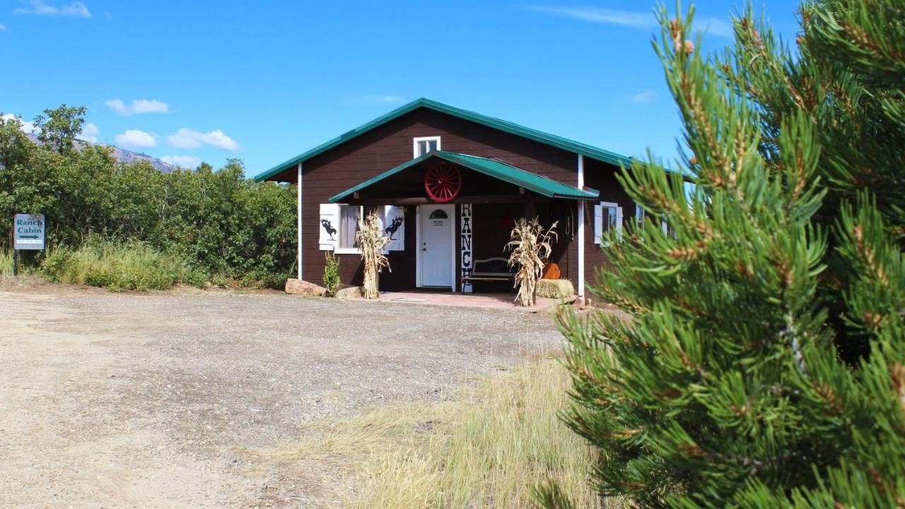 Ranch Mountain Cabin, Stunning! Campfire, Hiking Holiday home Monticello