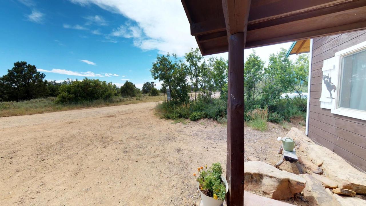 Ranch Mountain Cabin, Stunning! Campfire, Hiking Holiday home