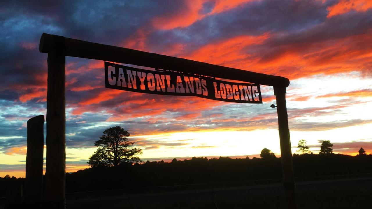 Ranch Mountain Cabin, Stunning! Campfire, Hiking * Monticello